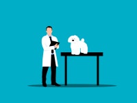 Free Specialist Vector Art - Download 24+ Specialist Icons & Graphics - Pixabay