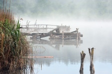 Hazy Morning The Fog - Free photo on Pixabay Free Image on Pixabay - Hazy, Morning, The Fog, Lake, Water