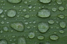 Page 2 - 50,000+ Free Day Rain & Rain Images - Pixabay