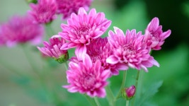 50,000+ Free 석바위 & Nature Images - Pixabay