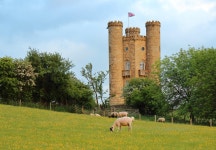 성 탑 양 - Pixabay의 무료 사진