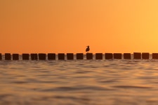 40,000+ Free Sun Sea & Sea Photos - Pixabay