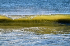 Surf Waves Coast - Free photo on Pixabay Free Image on Pixabay - Surf, Waves, Coast, Water, Ocean