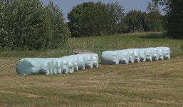 Field Russia - Free photo on Pixabay