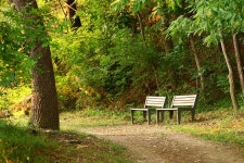 Benches Outdoors Park - Free photo on Pixabay