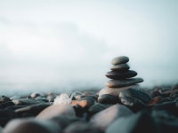 20,000개 이상 무료 평화 및 자연 사진 - Pixabay