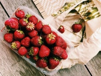 50,000+ Free Freshness & Nature Photos - Pixabay