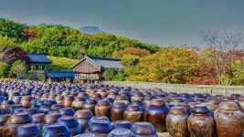 절 항아리 은자가 사는 집 - Pixabay의 무료 사진