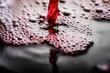 Bubble Liquid Drink - Free photo on Pixabay