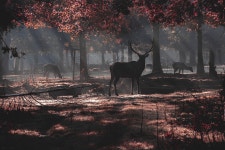 Deer Forest Wild Fallow - Free photo on Pixabay - Pixabay Deer Forest Wild Fallow - Free photo on Pixabay