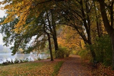Park Fall Path - Free photo on Pixabay