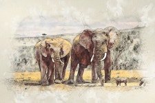 Download Elephant, Nature, Africa. Royalty-Free Stock Illustration Image - Pixabay Download Elephant, Nature, Africa. Royalty... 