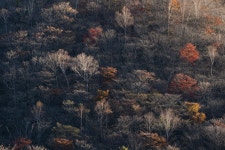 일몰 산 숲 - Pixabay의 무료 사진