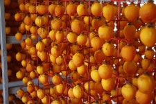 5,000+ Free Dried Persimmon & Persimmon Images - Pixabay