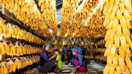 Corn House Warm Colors - Free photo on Pixabay