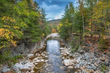 River Forest Fall - Free photo on Pixabay