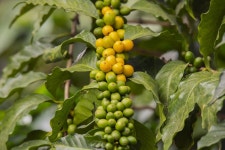 500+ Free Guatemala & Antigua Photos - Pixabay