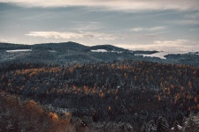 Forest Hills Snow - Free photo on Pixabay