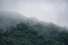 산 숲 나무 - Pixabay의 무료 사진