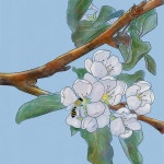 Download Bee, Abstract, Insect. Royalty-Free Stock Illustration Image - Pixabay Download Bee, Abstract, Insect. Royalty-Free... 