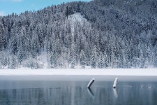 Winter Frozen Lake Forest - Free photo on Pixabay