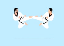 20개 이상 무료 Judo 및 유도 벡터 - Pixabay