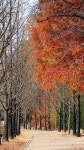10,000개 이상 무료 Trail 및 길 사진 - Pixabay