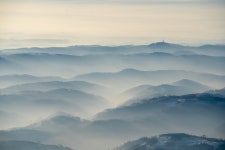 200+ Free Tint & Nature Photos - Pixabay