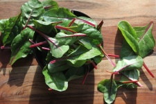 Chard Salad Vegetables - Free photo on Pixabay