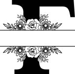 70개 이상 무료 F 및 Ns 벡터 - Pixabay