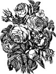 Free Rozen Vector Art - Download 2,132+ Rozen Icons & Graphics - Pixabay