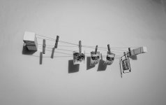 5+ Free Carter & Politician Photos - Pixabay