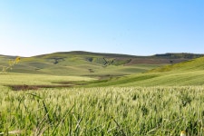 자연 분야 시골의 - Pixabay의 무료 사진