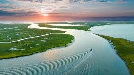 90+ Free Chesapeake & Chesapeake Bay Photos - Pixabay