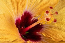 700+ Free Collectors & Camera Images - Pixabay