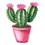 10,000개 이상 무료 수채화 선인장 및 수채화 일러스트레이션 - Pixabay