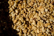 Coffee Beans Seed - Free photo on Pixabay