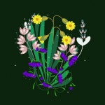 200,000 + 무료 야생화 & 자연 이미지 - Pixabay