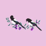 Explore 69+ Free Magpies Illustrations: Download Now - Pixabay