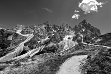 Page 5 - 100,000+ Free White-Tail & Nature Images - Pixabay