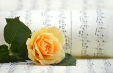 20,000+ Free Love Song & Love Photos - Pixabay