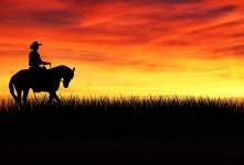 Cowboy Horse Silhouette - Free photo on Pixabay
