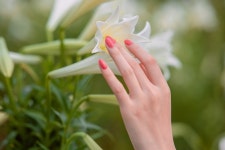 Flowers Hand Nails - Free photo on Pixabay