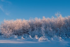 Winter Landscape Snow - Free photo on Pixabay