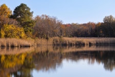 Autumn Scene Reflection Pond - Free photo on Pixabay - Pixabay Autumn Scene Reflection Pond - Free photo on Pixabay