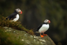 20,000+ Free Orange Feet & Feet Images - Pixabay