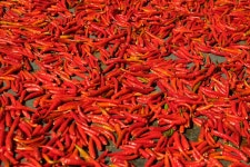 Vegetable Ingredient Spice - Free photo on Pixabay - Pixabay Vegetable Ingredient Spice - Free photo on Pixabay