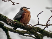 Robert1374 - Pixabay Download free media from Robert1374 | Pixabay