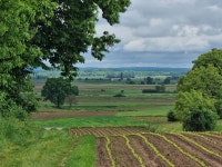 toplakava - Pixabay Download free media from toplakava | Pixabay