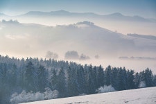 산 숲 나무 - Pixabay의 무료 사진